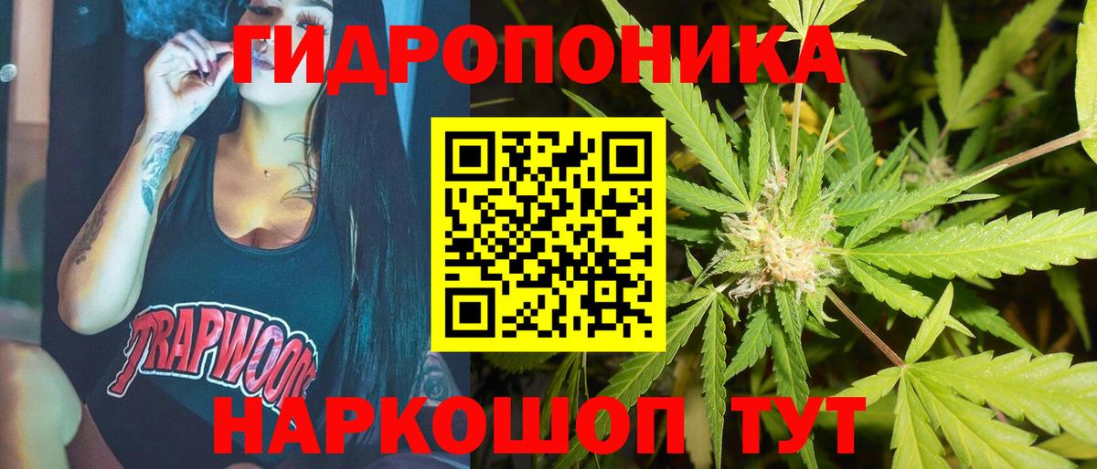 Бошки марихуана ГИДРОПОН  Вход с VPN  Карачаевск  Бошки Шишки конопля 